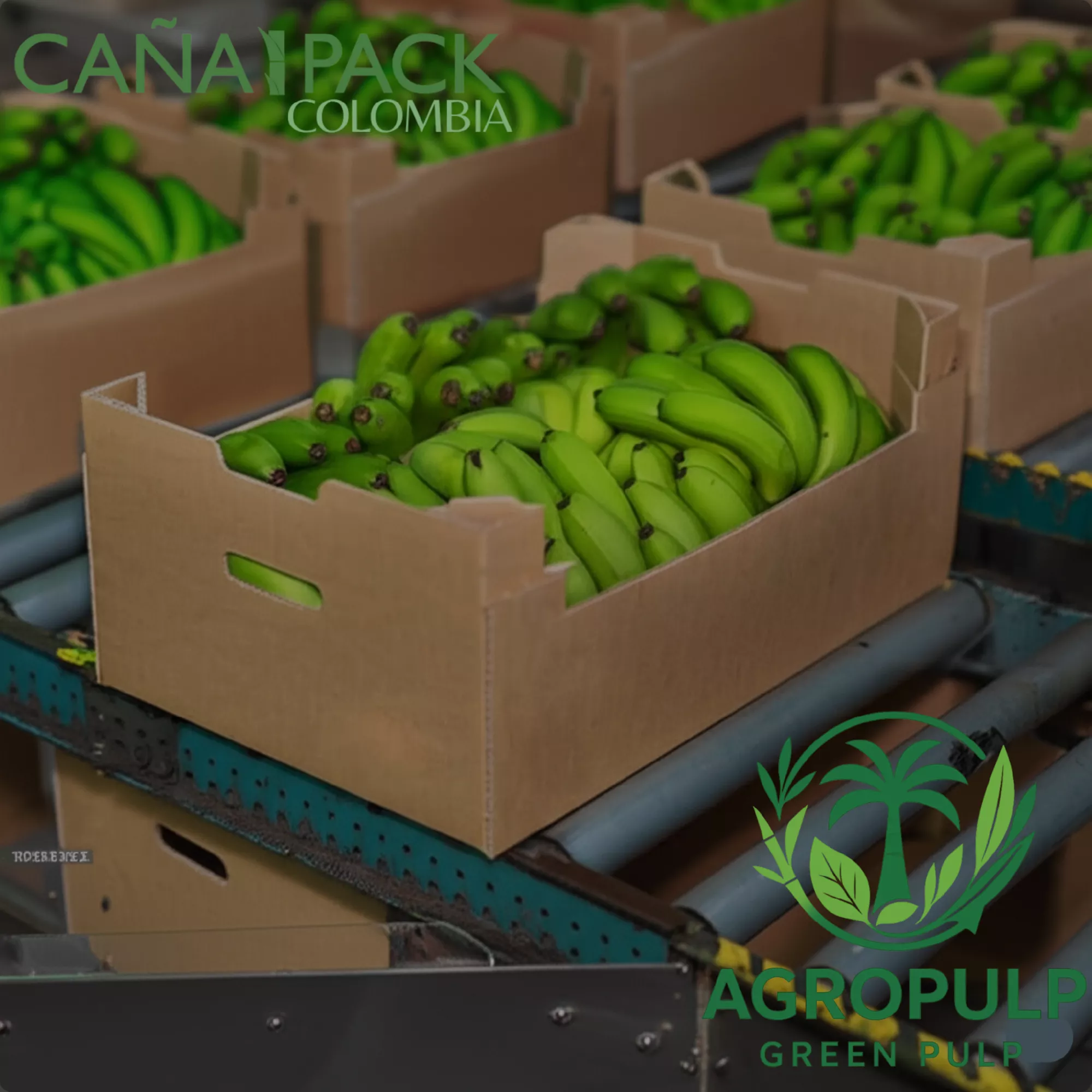 Cajas Frutas